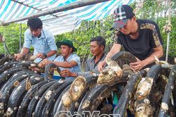 Tận dụng 'rác thải' tạo nguồn thu