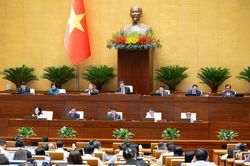 Sớm đưa Công ước Hà Nội về chống tội phạm mạng vào cuộc sống