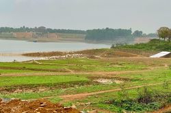Xây nhà ở 100m2 trên 200m2 đất nông nghiệp: Cần làm gì để không phạm luật?