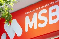 MSB tăng trưởng tín dụng 15%, chỉ tiêu tổng tài sản 'về đích' sớm