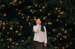 Chiêm ngưỡng mùa hoa dã quỳ Đà Lạt, nên đi tour hay tự túc?
