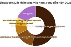 Xuất nhập khẩu Việt Nam - Singapore tăng hơn 25% trong 9 tháng 2025