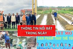 Nghệ An: Thông tin nổi bật ngày 2/11