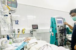 Nhiều trường hợp nhập viện vì rắn cắn
