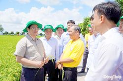 Hợp tác xã Dịch vụ nông nghiệp Thắng Lợi: Hướng đến giá trị mới trong nông nghiệp hiện đại