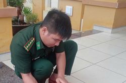 Thả cá thể rùa quý hiếm về biển