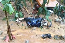 Sạt lở núi tại Hà Tĩnh, nhiều trang trại bị vùi lấp, thiệt hại lớn về tài sản