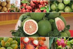 10 tháng, xuất khẩu nông, lâm, thủy sản vượt 58 tỷ USD