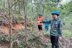 Vết nứt khổng lồ xuất hiện trên núi ở Đà Nẵng, gần 20 hộ dân trong vùng nguy hiểm