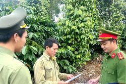 Quản lý chặt lao động thời vụ, bảo đảm an ninh mùa cà phê