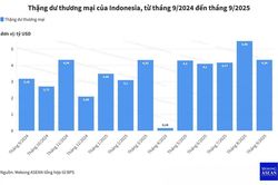 Indonesia đạt thặng dư thương mại tháng thứ 65 liên tiếp