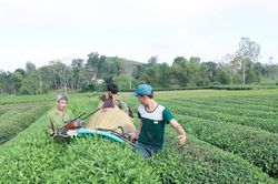 Những kết quả và con số nổi bật của ngành Nông nghiệp và Môi trường Nghệ An giai đoạn 2020 - 2025