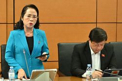 Đại biểu Quốc hội nêu bất cập khi trừ thuế với người thu nhập cao