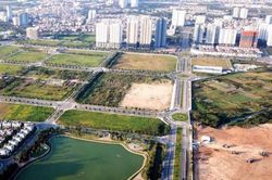 Đề xuất tăng mạnh chế tài với hành vi thao túng, bỏ cọc trong đấu giá đất