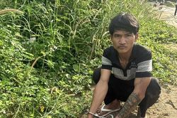 Bắt đối tượng nghiện ngập chuyên trộm 'nông nụ, nông sản' để bán lấy tiền mua ma túy