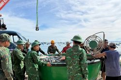 Bão số 13 đổ bộ đất liền, gió giật cấp 15: Hơn nửa triệu dân sơ tán tránh bão