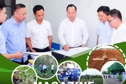 Chào mừng kỷ niệm 80 năm ngành Nông nghiệp và môi trường Việt Nam (14/11/1945 - 14/11/2025): Phát huy truyền thống, vươn tầm trong kỷ nguyên kinh tế xanh và chuyển đổi số