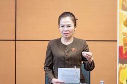 Đại biểu Quốc hội đoàn Nghệ An đề nghị giao diện dịch vụ công thiết yếu cần thân thiện, dễ thao tác để hỗ trợ người cao tuổi