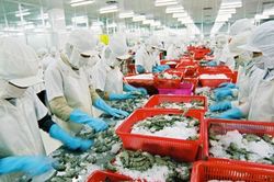 Sử dụng tối đa 'chìa khóa' xuất xứ hàng hóa để tăng trưởng xuất khẩu sang thị trường CPTPP