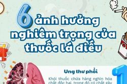 Infographic: Những ảnh hưởng nghiêm trọng của thuốc lá truyền thống
