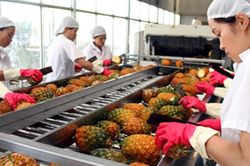 Đồng Nai giữ vững đà tăng trưởng kinh tế