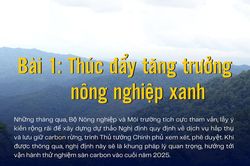 Hành lang pháp lý cho giao dịch tín chỉ carbon rừng - Bài 1: Thúc đẩy tăng trưởng nông nghiệp xanh