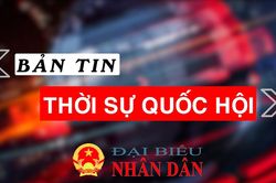 Bản tin Thời sự Quốc hội ngày 7/11/2025