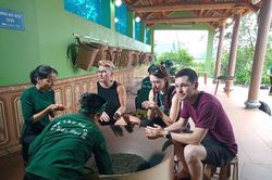 Lan tỏa những mô hình kinh tế hợp tác giúp người dân 'đất trà' giảm nghèo