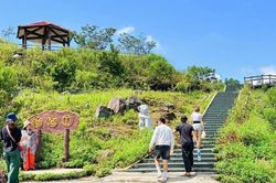 Đà Nẵng mở lại hai tuyến tham quan bán đảo Sơn Trà
