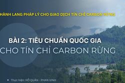 Hành lang pháp lý cho giao dịch tín chỉ carbon rừng - Bài 2: Tiêu chuẩn quốc gia cho tín chỉ carbon rừng