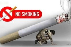 Những địa điểm cấm hút thuốc lá - hãy tôn trọng sức khỏe cộng đồng!