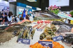 Xuất khẩu thủy sản Việt Nam được dự báo khó khăn vì tác động dây chuyền từ thuế và MMPA