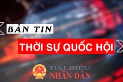 Bản tin Thời sự Quốc hội ngày 10/11/2025