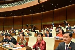 Dự kiến Nghệ An sẽ có 16 đại biểu Quốc hội khóa XVI, nhiệm kỳ 2026 - 2031