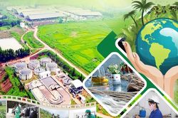 Kinh tế tuần hoàn - chìa khóa chiến lược trong thời kỳ biến đổi khí hậu