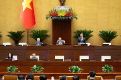 Hoàn thiện pháp luật về thi hành án dân sự và giám định tư pháp