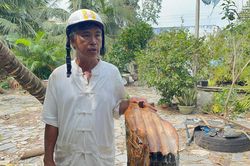 Chủ nhân 'cây dừa bị tôn bay chém đứt thân' trong bão số 13 nói gì?