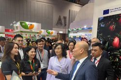 Triển lãm trực tuyến trên Arobid TradeXpo: Giải pháp xúc tiến thương mại thông minh và bền vững