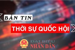 Bản tin Thời sự Quốc hội ngày 12/11/2025