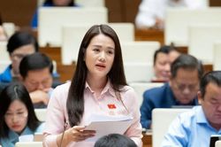 Đề xuất viên chức có quyền báo cáo, tạm hoãn nhiệm vụ nếu phát hiện 'dấu hiệu trái pháp luật'