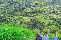 Khi nông sản và chuyển đổi số cùng viết nên khát vọng vùng cao