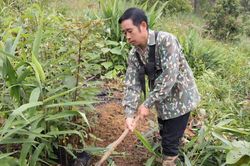 Kiên Mộc: Làm giàu từ rừng