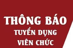 Tuyển dụng viên chức trong các đơn vị sự nghiệp công lập thuộc Bộ Văn hóa, Thể thao và Du lịch năm 2025