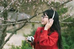 Hoa đào nở sớm nơi rẻo cao Tà Xùa, hút du khách checkin giữa núi rừng Tây Bắc