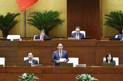 Ngày 14/11, Quốc hội nghe Chủ tịch nước trình bày Tờ trình đề nghị phê chuẩn Hiệp định đối ngoại