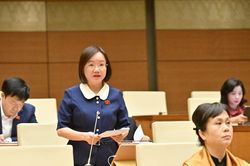 Đại biểu Quốc hội đoàn Nghệ An nêu bất cập khi phí bảo hiểm tiền gửi của quỹ tín dụng bằng ngân hàng thương mại