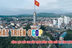 Phát triển OCOP - động lực mới cho xây dựng nông thôn mới tại tỉnh Lạng Sơn