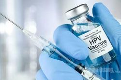 Tuyên Quang được chọn triển khai tiêm vắc xin HPV miễn phí từ năm 2026