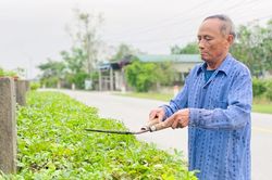 Hình ảnh đẹp chào mừng ngày Đại đoàn kết toàn dân