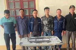 Nghệ An: Khởi tố các đối tượng đánh bạc